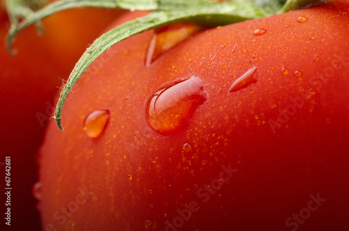 Red tomato and drops water close up © Orlando Bellini