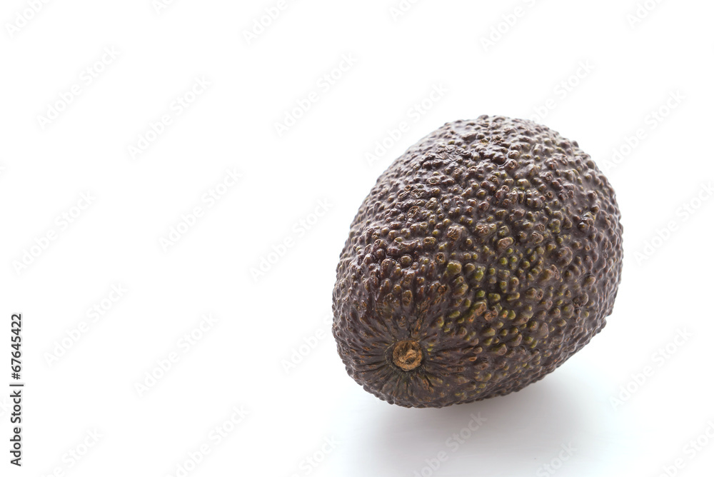 Avocado Avocado