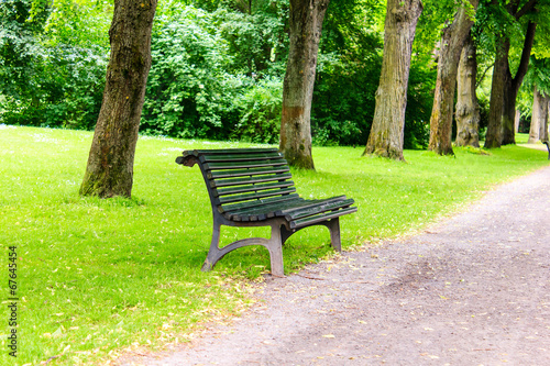 Stylish bench in summer park
