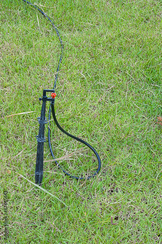 Watering lawn of grass