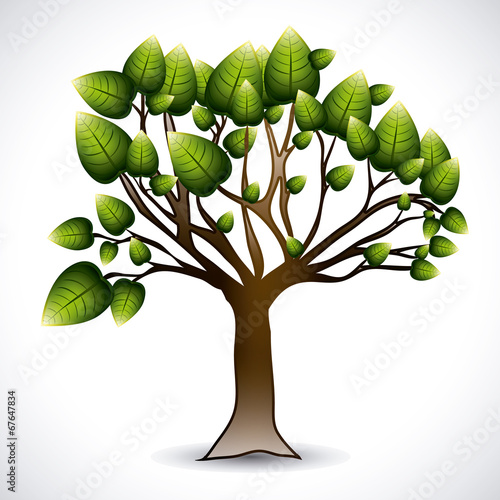Ecology design