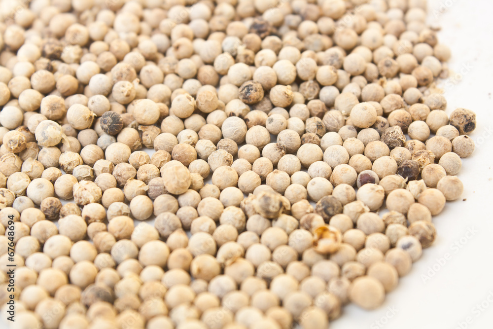 The White Peppercorns Close Up The White Peppercorns Close Up