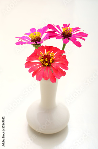 Wallpaper Mural flowers on vase Torontodigital.ca