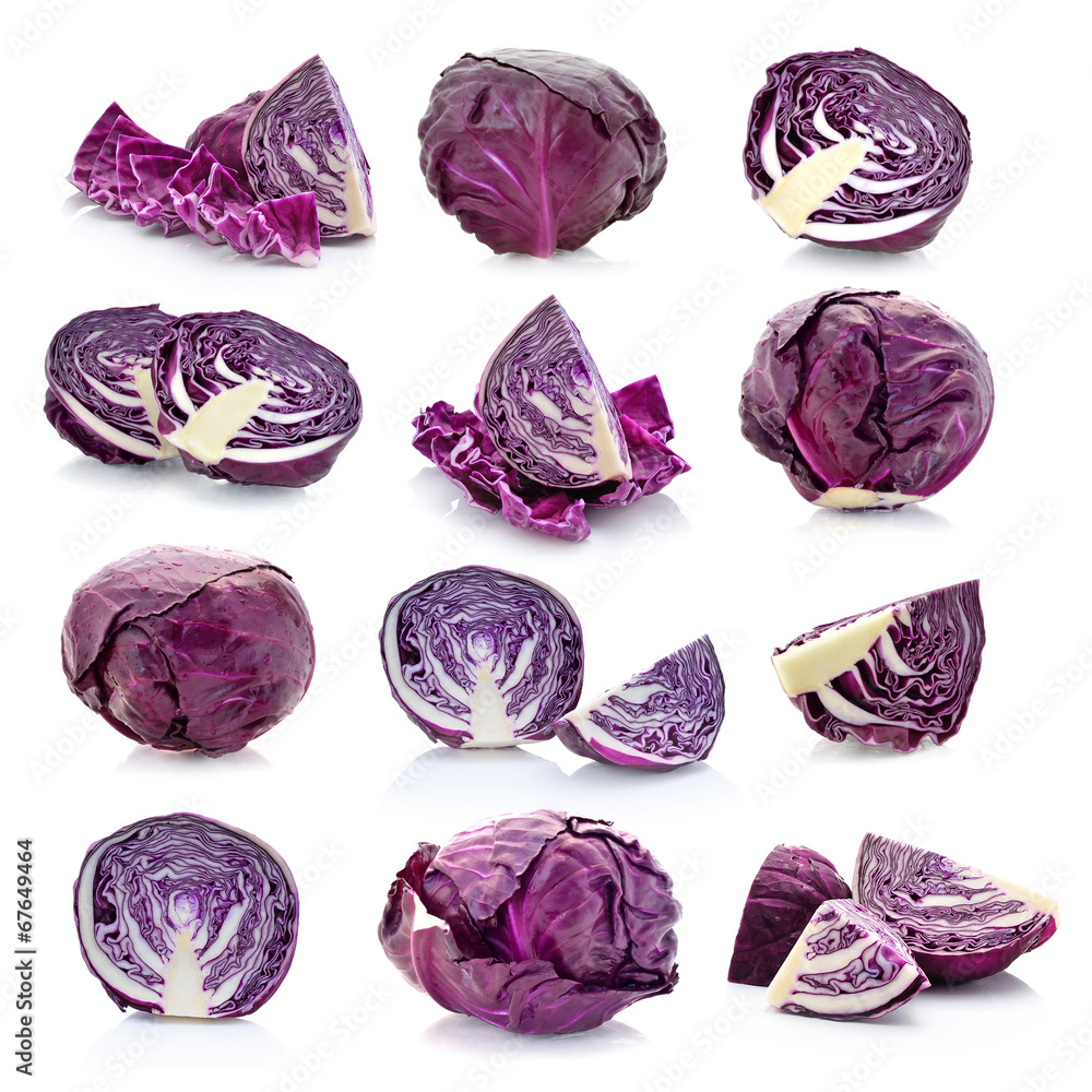 red cabbage on a white background red cabbage on a white background