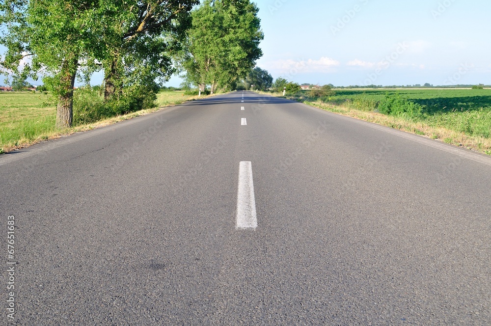Asphalt road with green trees and blue sky Asphalt road with green trees and blue sky