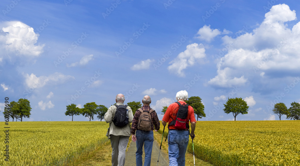 Auf wanderschaft Auf wanderschaft