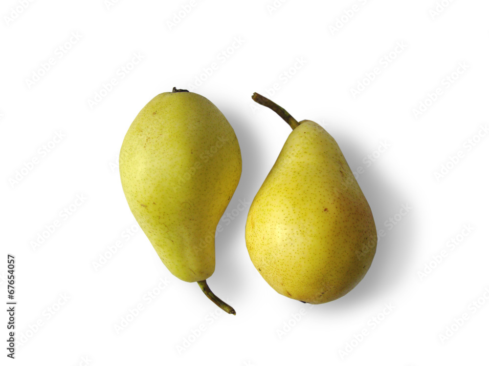 two organic yellow pears on white background two organic yellow pears on white background
