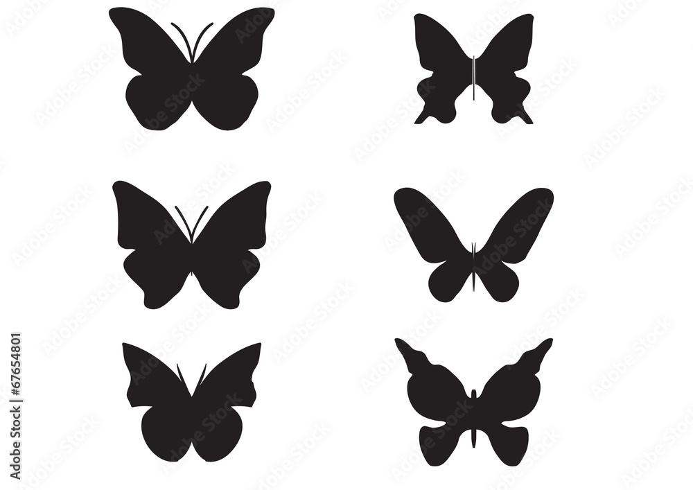 A butterfly A butterfly