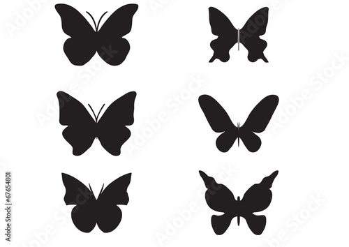 A butterfly