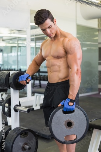 Muscular man lifting weight in gym