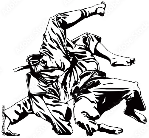 Judo fight