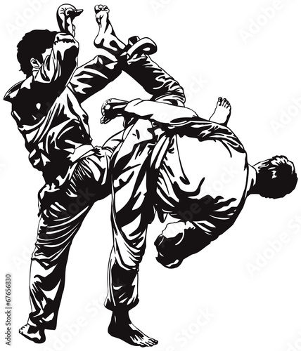Judo fight