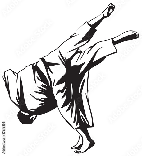Judo fight