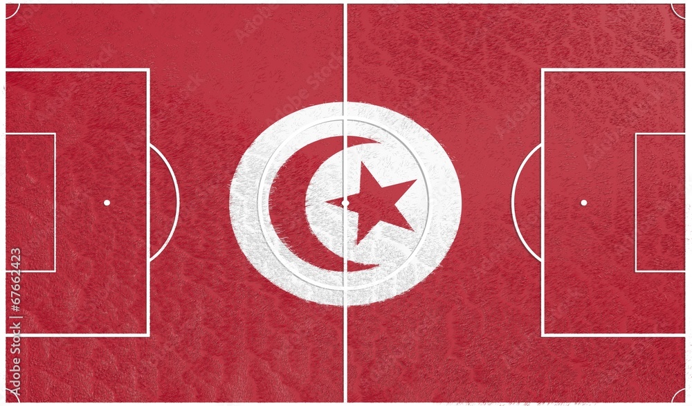 football field textured by tunisia national flag