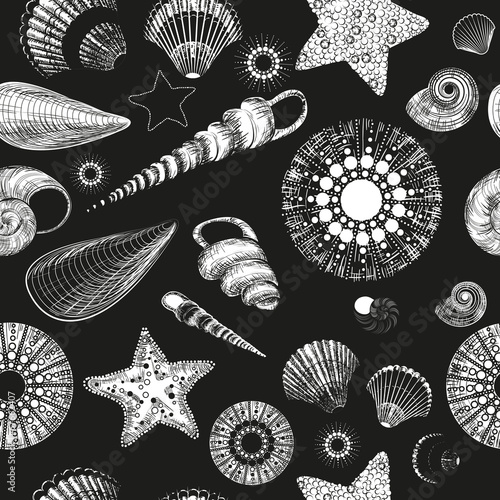 Vector Seamless pattern with seashells (black and white)