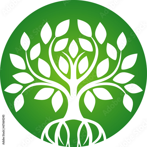 Tree icon with roots