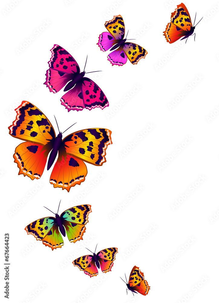 butterflies design