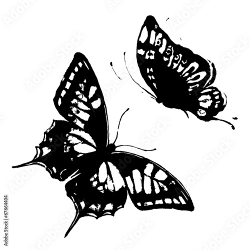 butterflies design