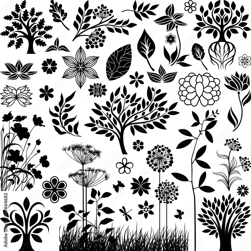 Botany collectionIV Botany collectionIV