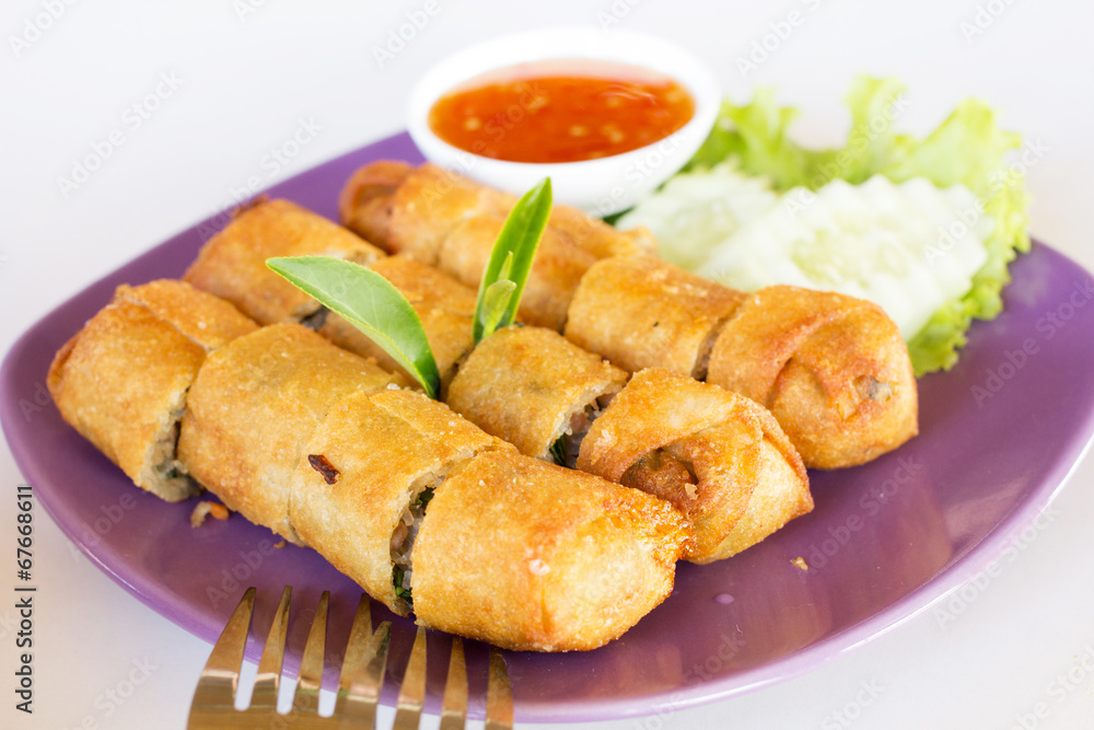 Fried spring rolls on white dish