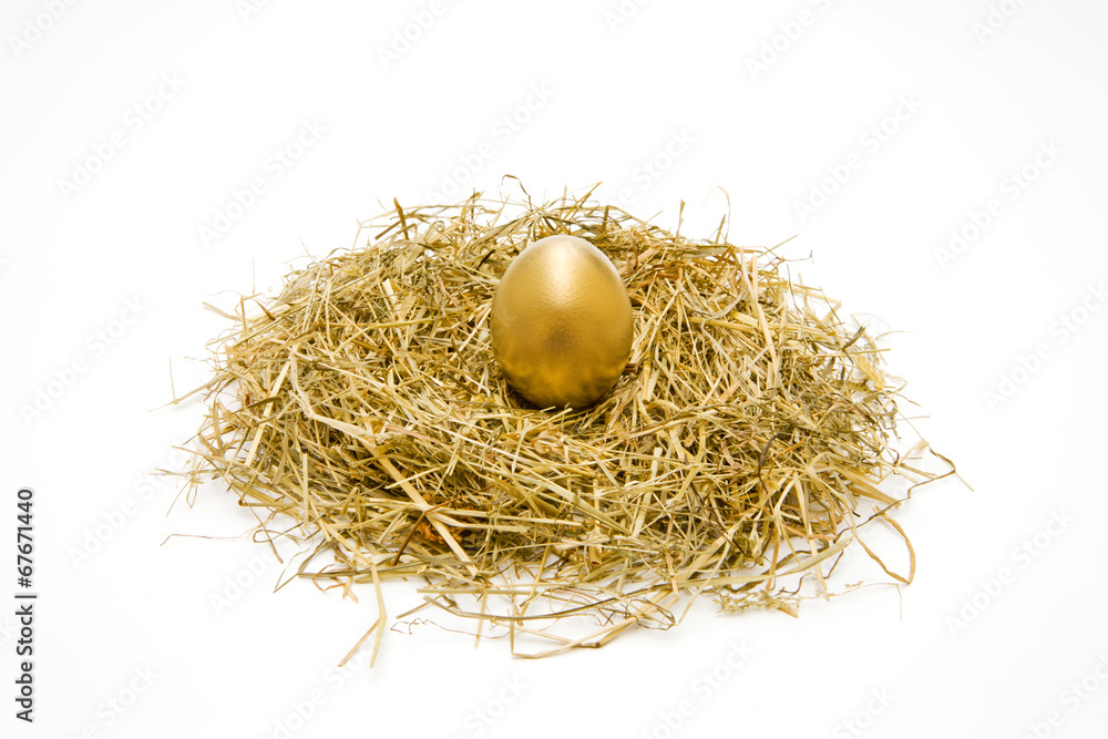 Goldenes Ei im Nest Goldenes Ei im Nest