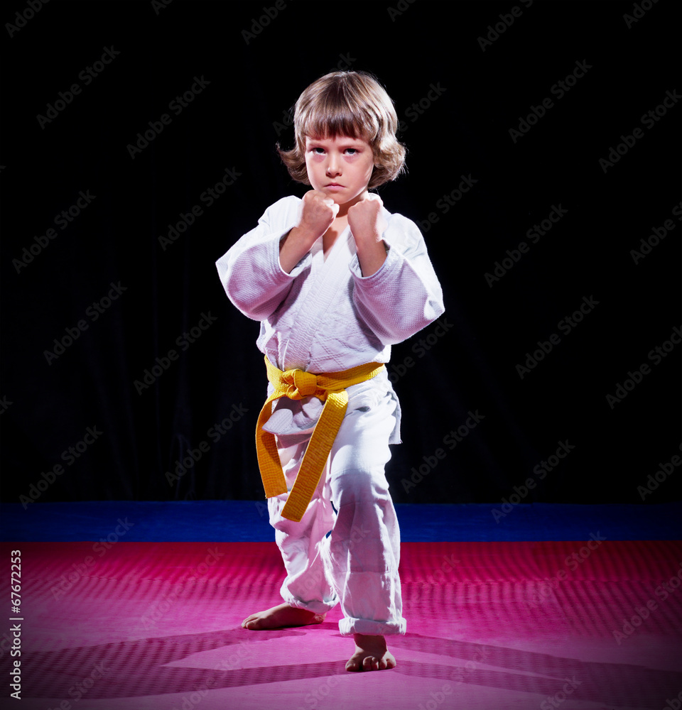 Little boy aikido fighter