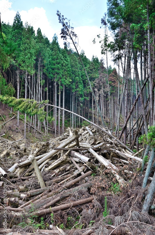 土砂崩れ 土砂崩れ