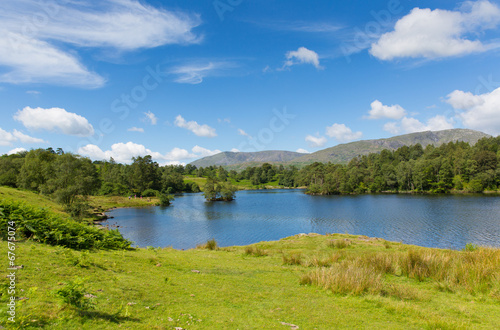 Tarn Hows The Lakes National Park England uk