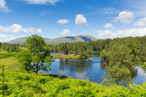 Tarn Hows Lake District National Park blue sky