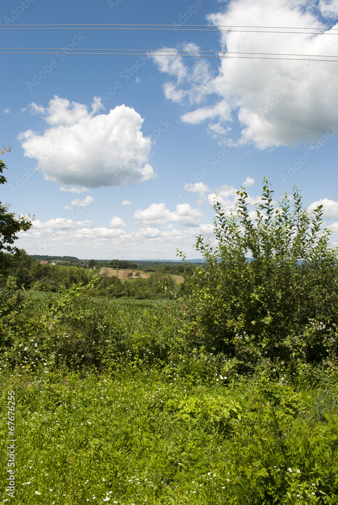 Overgrowth Overgrowth