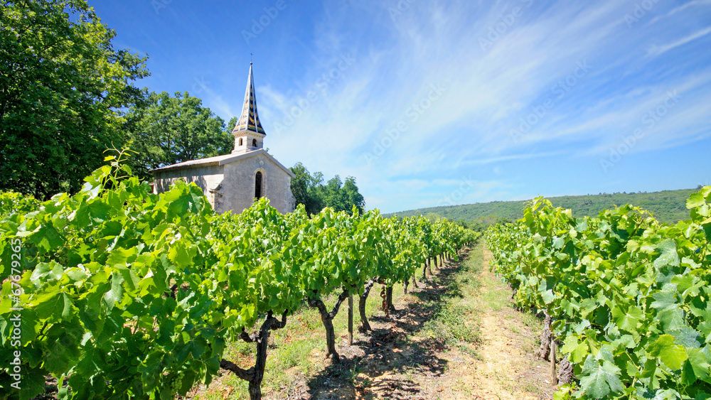 Fotografie France - Chartreuse de Valbonne