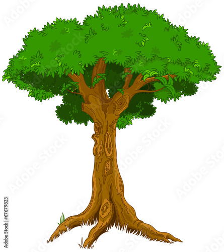 Majestic tree