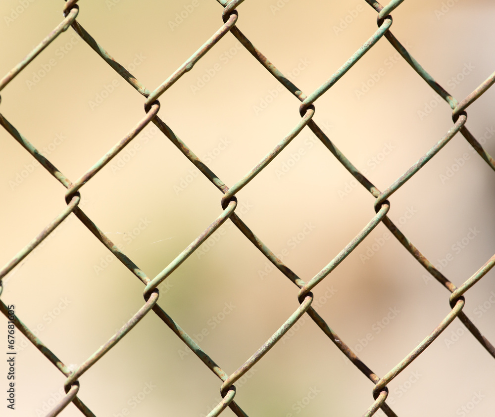 Fototapeta premium close up pattern Barb Wire