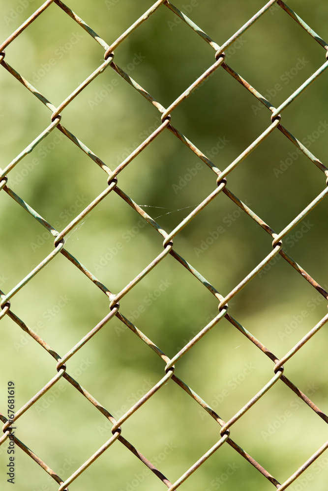 Fototapeta premium close up pattern Barb Wire