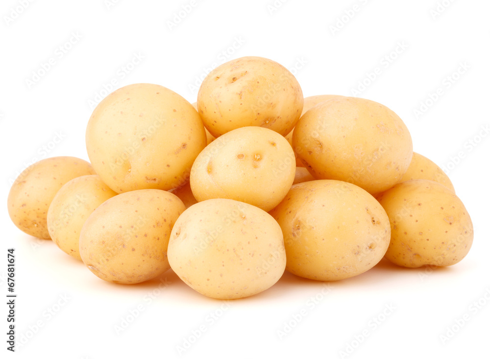 new potato tuber isolated on white background cutout new potato tuber isolated on white background cutout