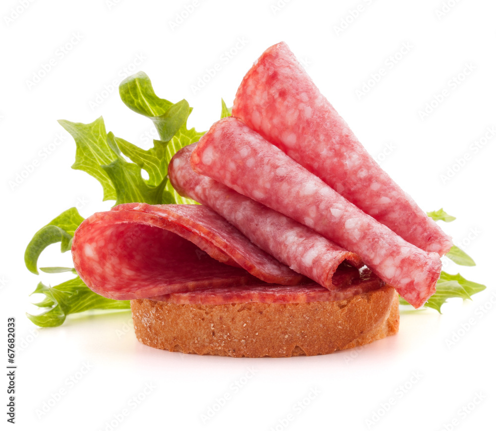 sandwich with salami sausage on white background cutout sandwich with salami sausage on white background cutout