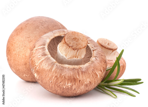 Brown champignon mushroom and rosemary leaves