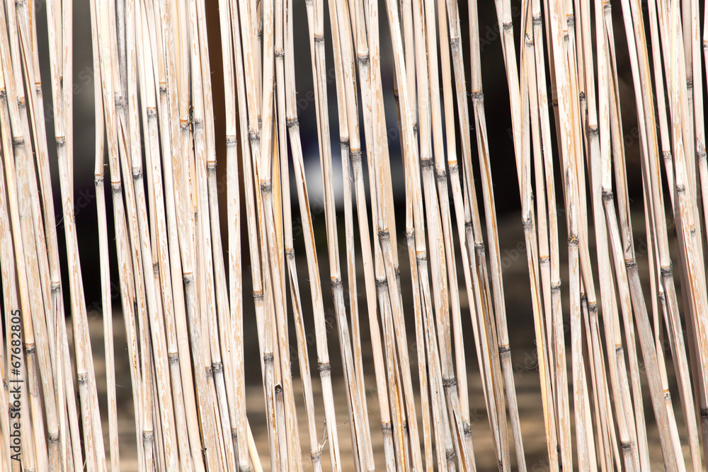 Fototapeta premium Japanese bamboo texture good for background