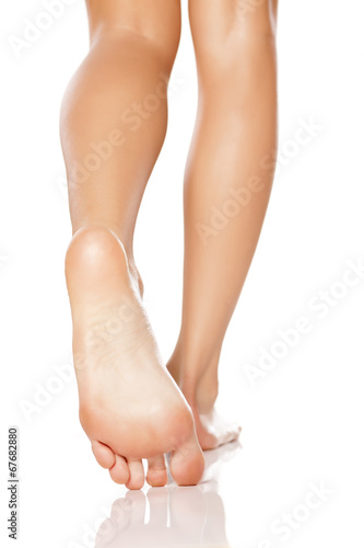 nicely nursed women's feet on white background © vladimirfloyd