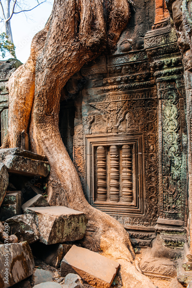 Fototapeta premium temple Ta Prohm