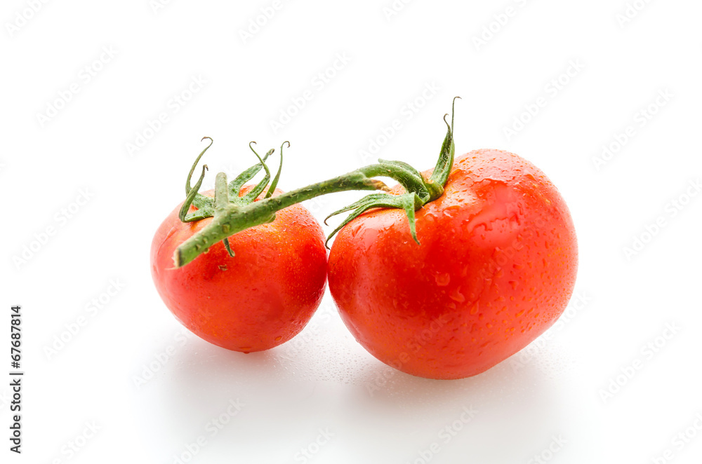 Tomato isolated on white Tomato isolated on white