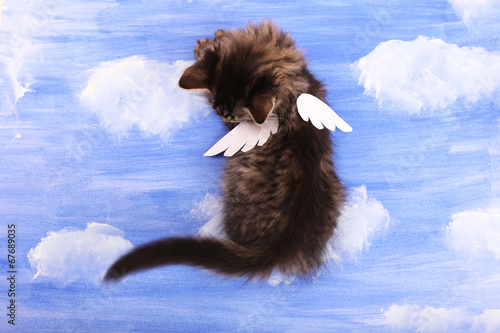Fototapeta Naklejka Na Ścianę i Meble -  Beautiful kitten with paper wings, on bright background