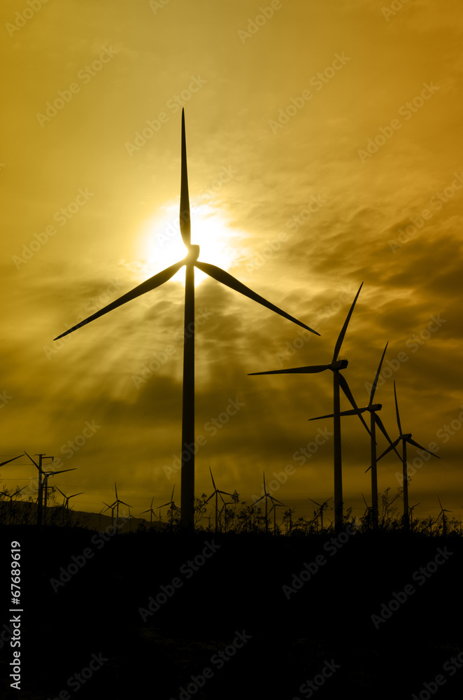Fototapeta premium Wind Turbine Silhouettes
