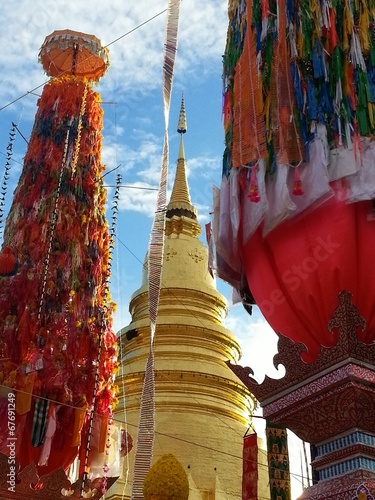 budda festival photo