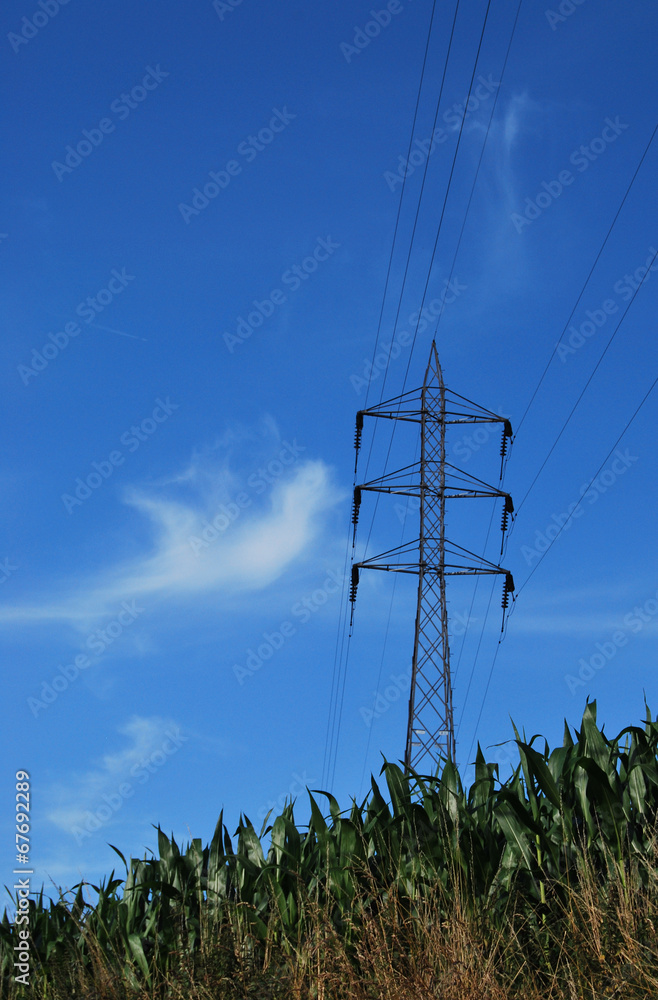 Pylône électrique et champ de maïs