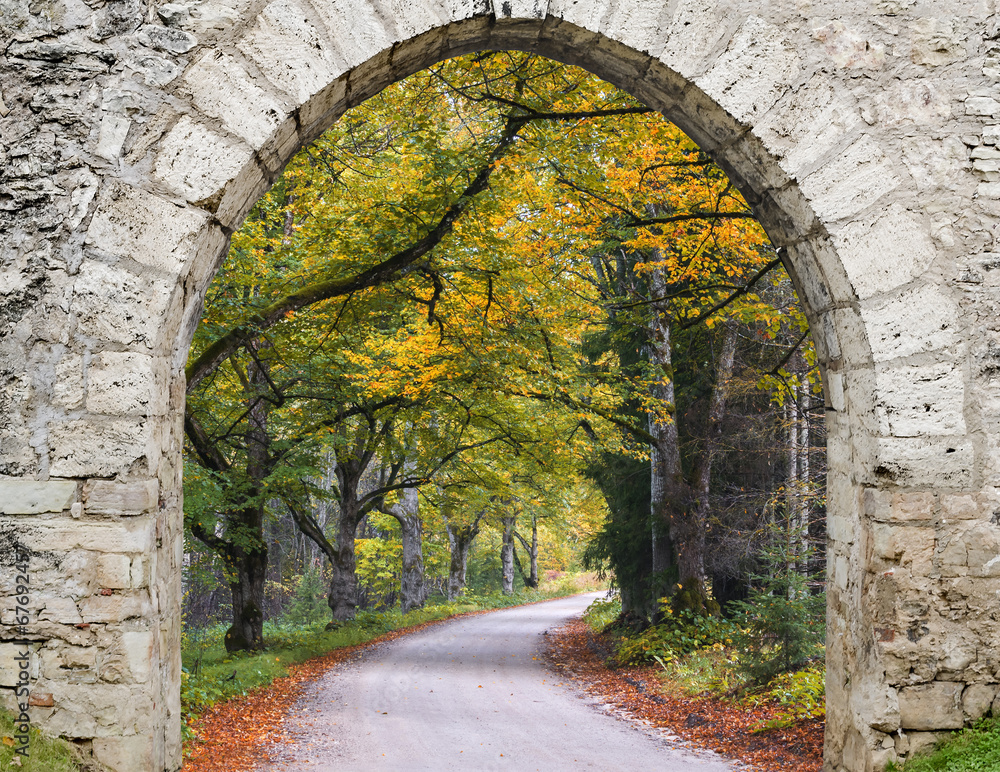 Fototapeta premium Countryside road in autumn, Vidzeme, Latvia