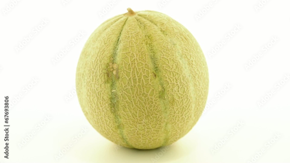 Honeydew melon Honeydew melon