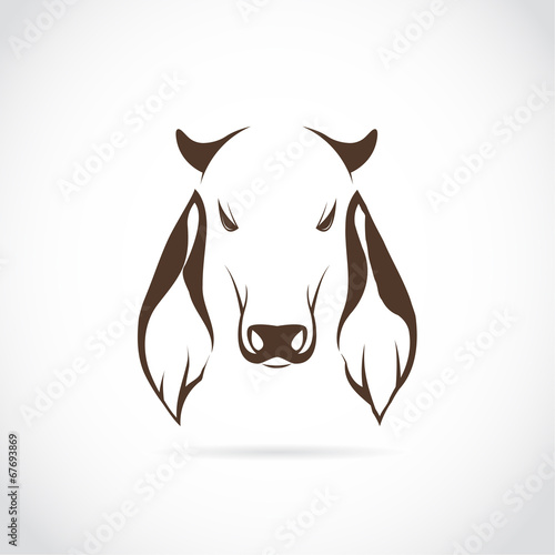 Vector image of cow head
