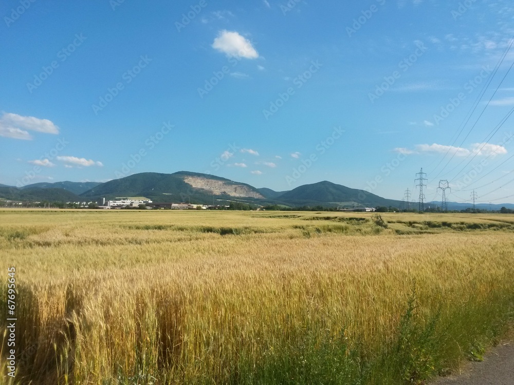Landscape ,príroda,hory,les,obilie, Landscape ,príroda,hory,les,obilie,