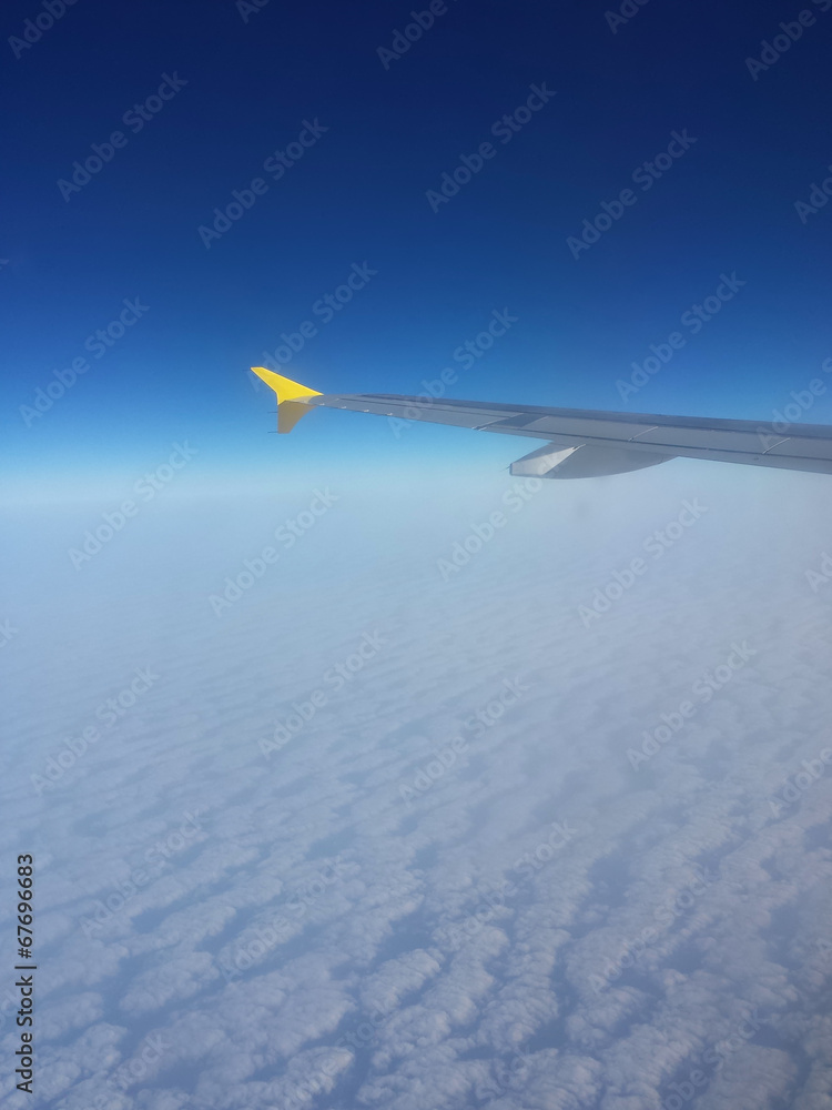 Fototapeta premium plane